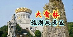 鸡巴色图中国浙江-绍兴大香林旅游风景区